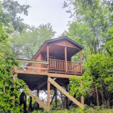 Cabin Series-Sheds
